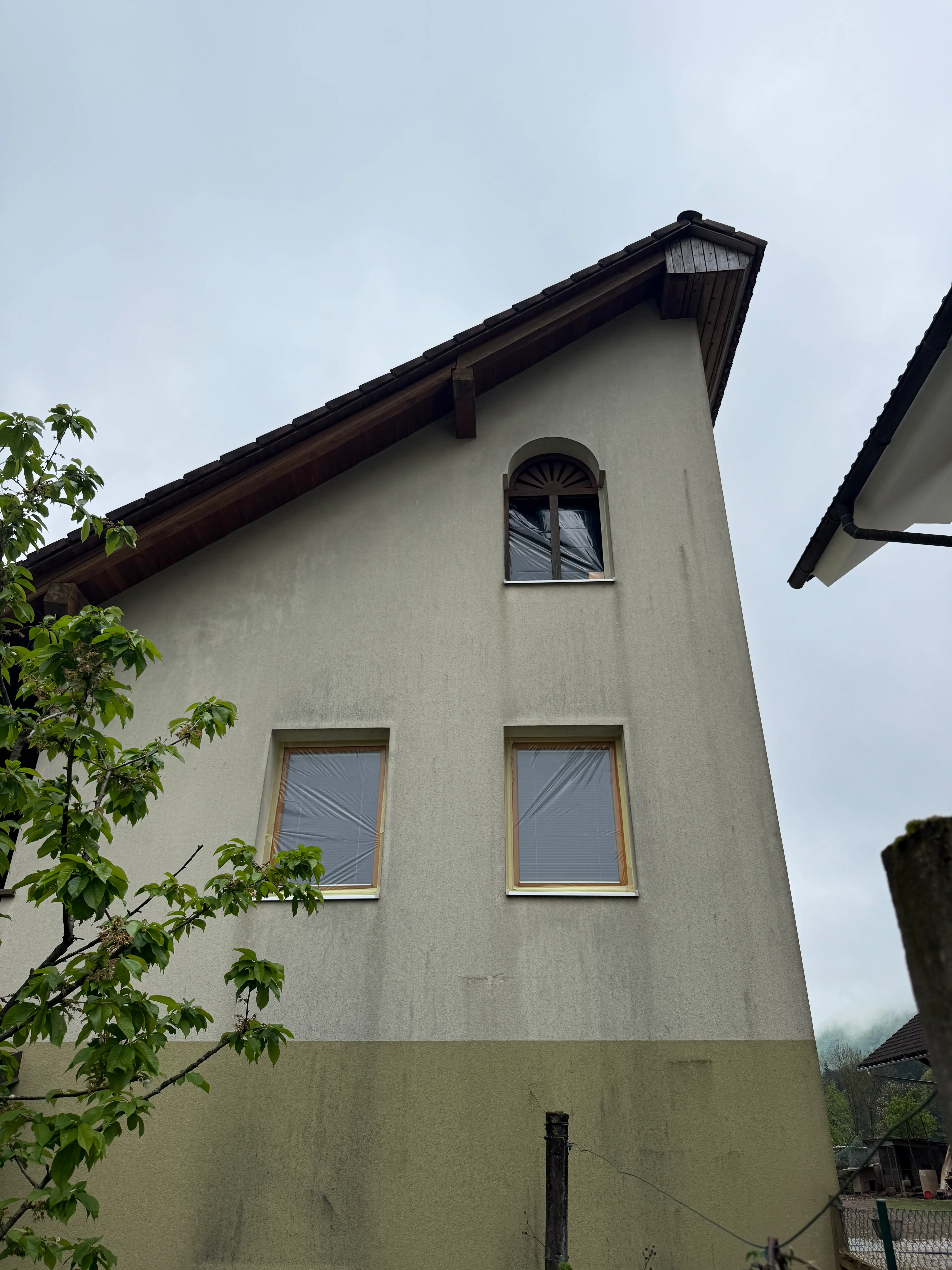 Fasada pred čiščenjem