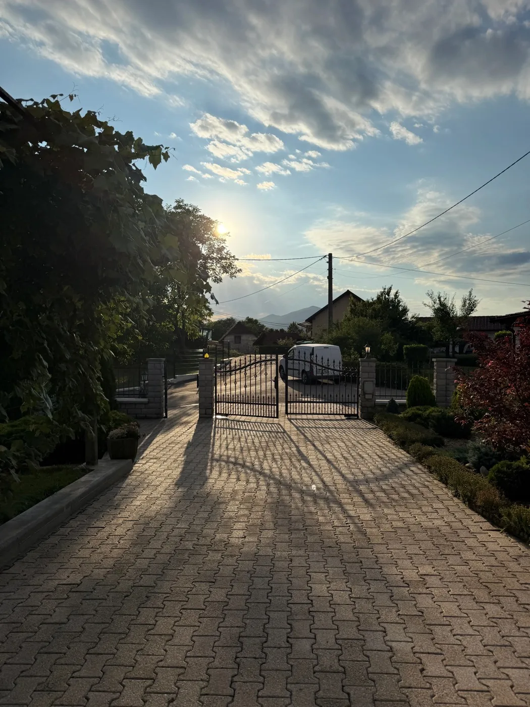Tlakovci po čiščenju