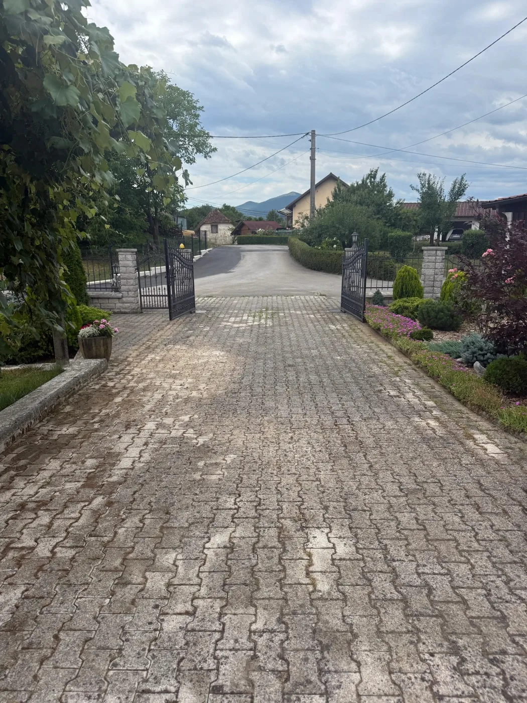 Tlakovci pred čiščenjem